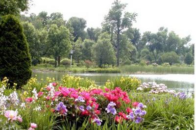 Fleurs