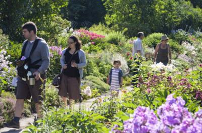 Allée Royale Jardins de Métis