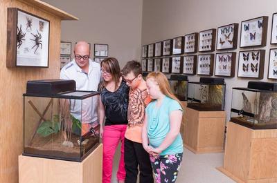 Insectarium   © J.Landry
