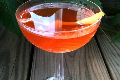 Cocktails   © Wiggle Room