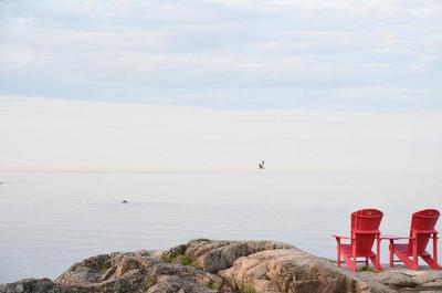 Observation des mammifères marins de la rive   © Parc Canada/V.Galadza