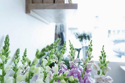 Fleurs
