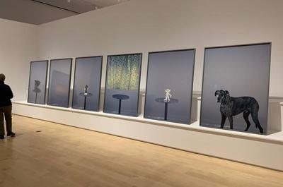 Evergon l'exposition   © MNBAQ\I.Labrie
