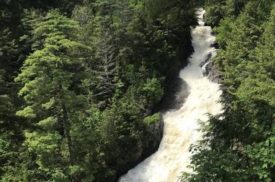 Chute
