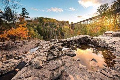 Parc à l'automne   © Tourisme Mauricie