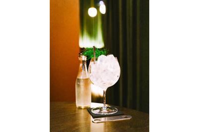 Gin Tonic   © S.St-Onge