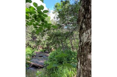 Rivière 2   © M.Rioux