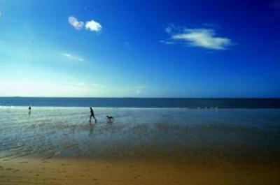 Plage de Bassin à marée basse