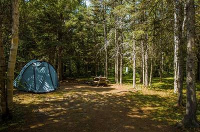 Camping
