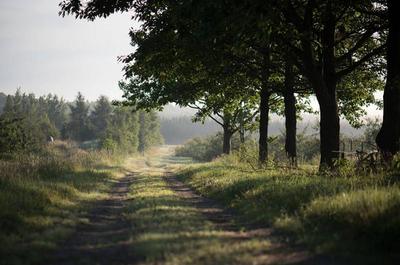 Sentier du verger