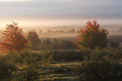 En automne