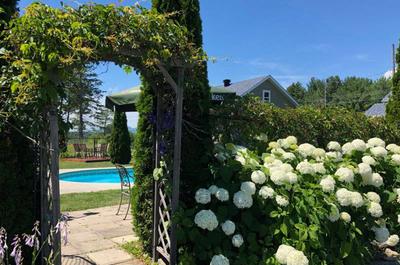 Le jardin
