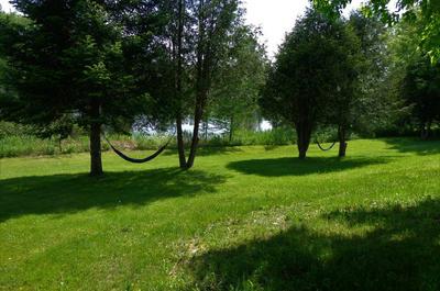 Hamacs près du lac