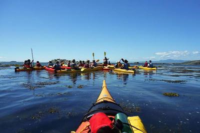 Kayak de mer