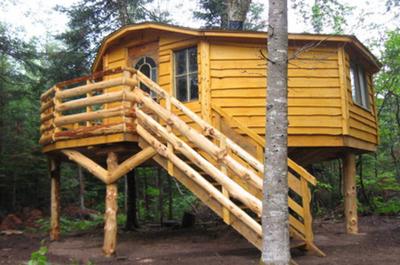 Cabane dans l'arbre