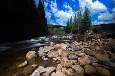 Nature