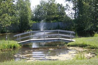 Pêche en étang