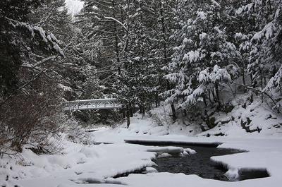 Saison hivernale