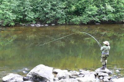 Pêche au saumon