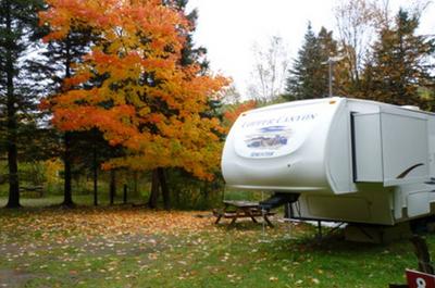 Camping boisé