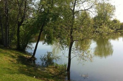 Bord de l'eau