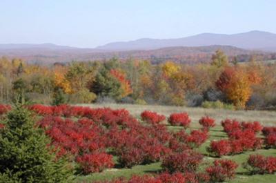 En automne
