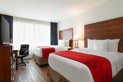 Chambres 2 Lits Queen
