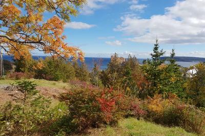 Vue du jardin