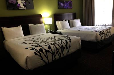 Chambre 2 Lits Queen