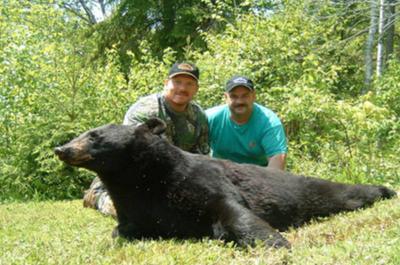 Chasse à l'ours