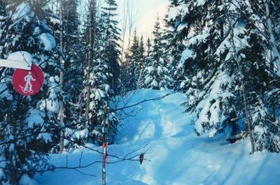 Sentier de raquette   © Club de ski de fond Senneterre