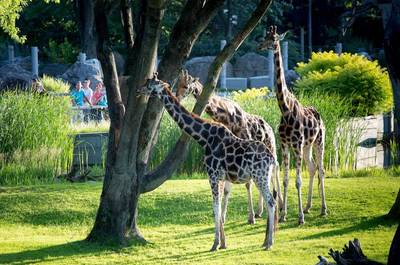 Jardins zoologiques