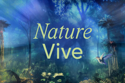 Nature vive, la nouvelle exposition d’OASIS immersion, produite et distribuée en collaboration avec National Geographic, ouvre ses portes!