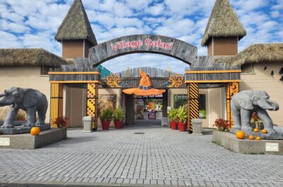 Parc Safari : plongez dans l’ambiance ensorcelante de l’automne ! 🎃🦒