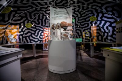 Ados : cerveaux inventifs – Une nouvelle exposition juste à temps pour la semaine de relâche !
