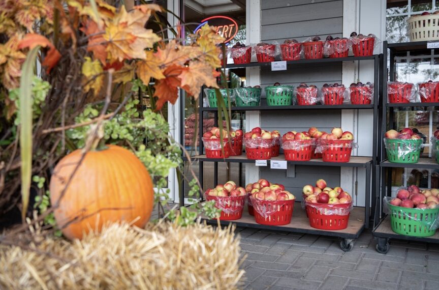 Le Verger Charbonneau : des pommes, des gourmandises et encore de belles sorties à faire cet automne !