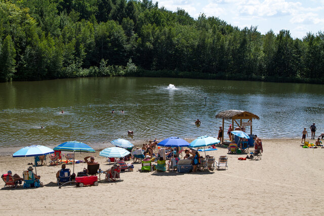 Sorties avec son chien au Québec : plages, sentiers et parcs où il est le bienvenu, en famille