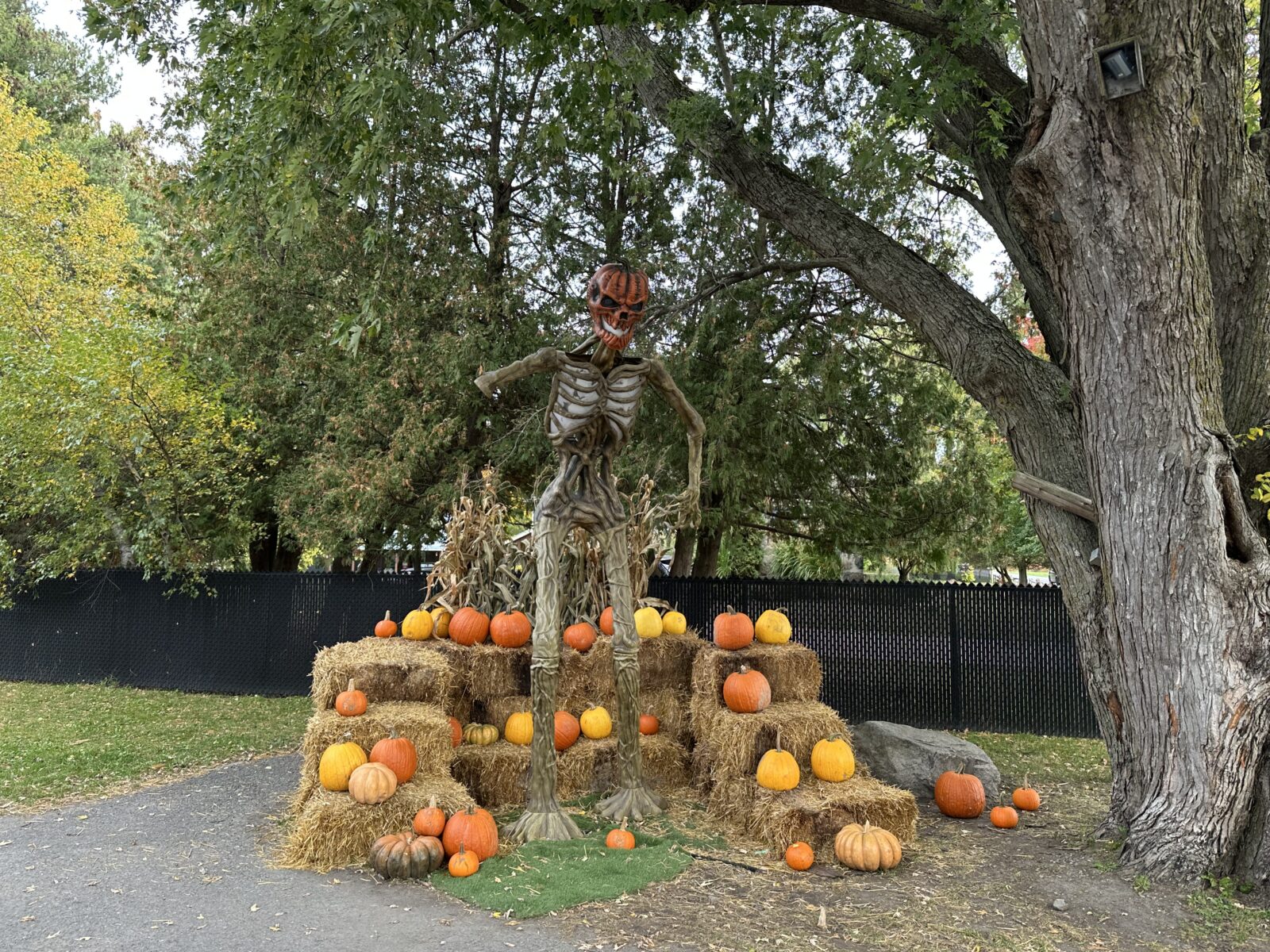 Le Verger Charbonneau : des pommes, des gourmandises et encore de belles sorties à faire cet automne !