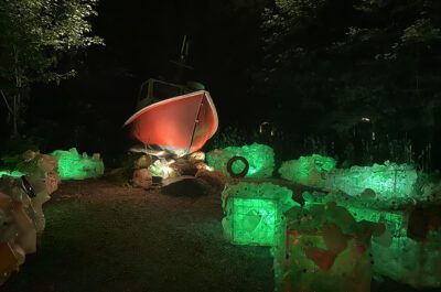 L’écho des origines, et si la forêt nous parlait!