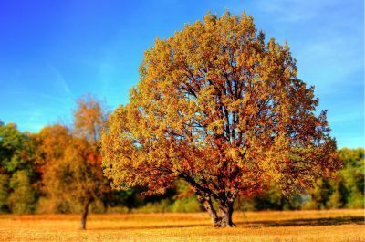 La saison des couleurs est à nos portes avec une foule d’activités pour remplir votre agenda!