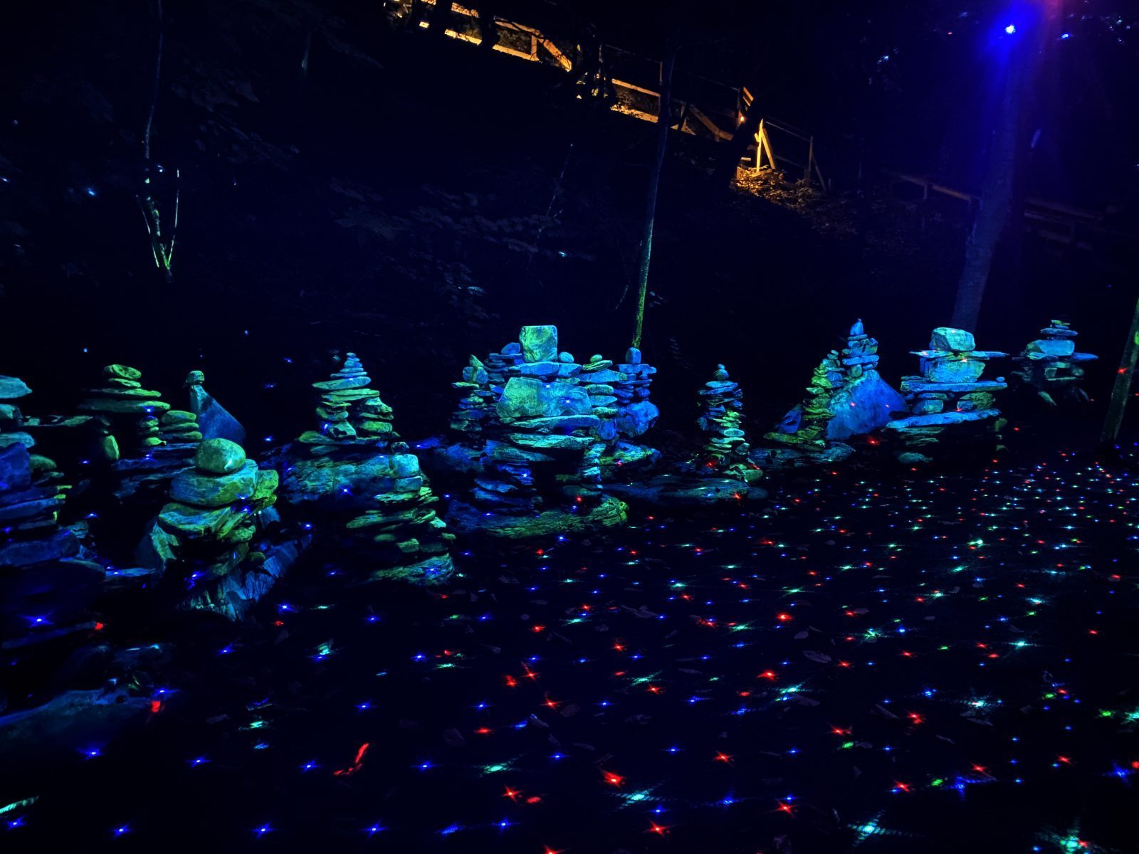 Découvrez la forêt enchantée de Foresta Lumina à Coaticook! Quoi
