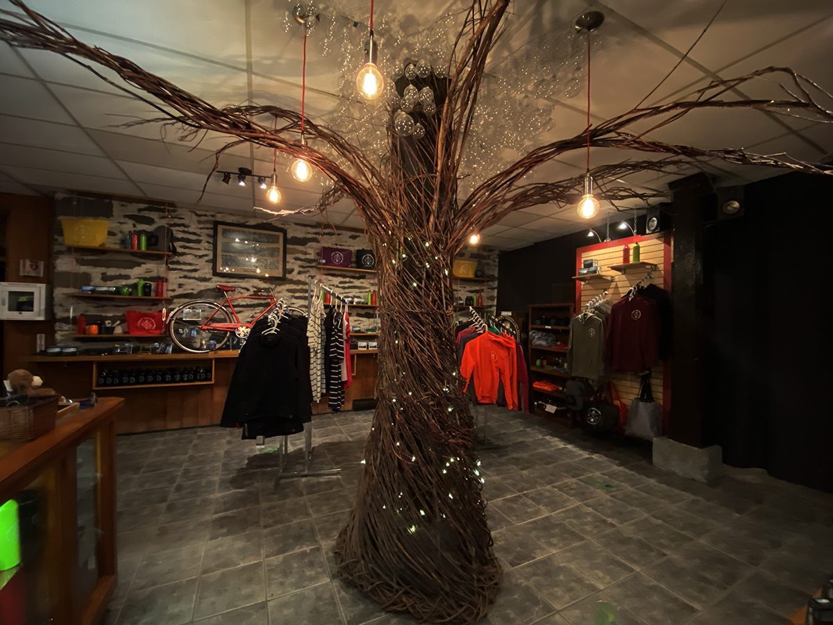 Découvrez la forêt enchantée de Foresta Lumina à Coaticook! Quoi